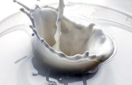 Россельхознадзор принял решение перенести на 18:00 6 марта срок введения запрета на поставки молочной продукции из Белоруссии, сообщает Интерфакс. Ранее запрет планировалось ввести с 26 […]