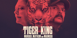 «Король тигров» стал самым популярным шоу на американском Netflix с тех пор, как коронавирус охватил всю страну. Жадность и бездушие владельцев придорожного зоопарка привела к безудержному издевательству над экзотическими животными, находящимися под их опекой.
