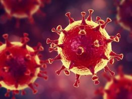   Хроники коронавируса 4   24 апреля  За прошедшую неделю увеличилось число стран, в которых болезнь постепенно отступает. К таким странам теперь можно отнести еще […]