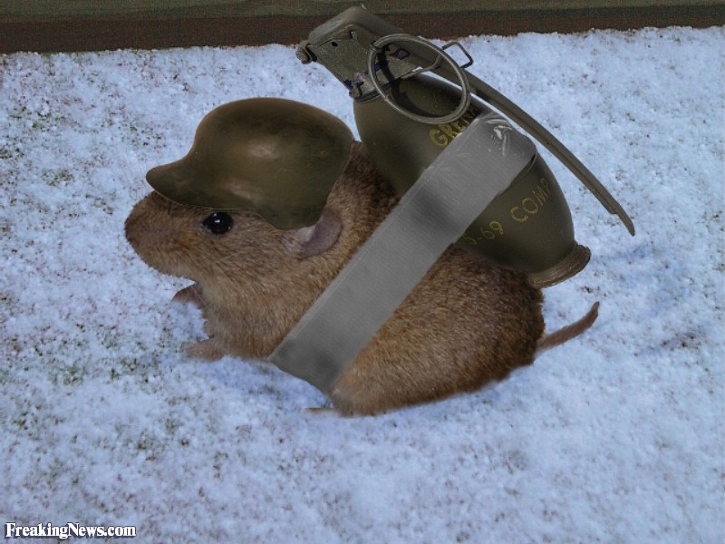 Lemming-with-a-Grenade--55505