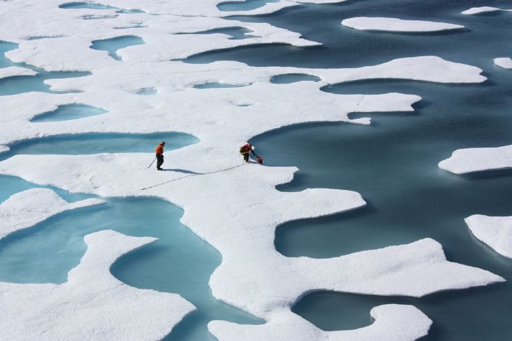 тающие льды в Арктике © cfnhri.org