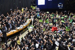 Палата депутатов бразильского Национального конгресса в ночь с воскресенья на понедельник проголосовала за начало процесса импичмента президента Дилмы Русеф. За отстранение президента от должности высказались 367 депутатов из 513, в то время как для принятия этой инициативы необходимо 342 голоса.