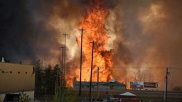 Власти канадской провинции Альберта объявили о введении чрезвычайного положения из-за сильных природных пожаров в районе города Форт МакМюррей, который находится неподалеку от крупнейших в мире нефтяных месторождений