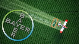 Когда немецкая химическая и фармацевтическая компания-гигант Bayer приобрела американскую корпорацию Monsanto, все обратили внимание на цену сделки.