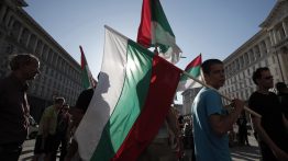 В Болгарии на президентских выборах победила пара, которую выдвинула оппозиционная Болгарская Социалистическая Партия.