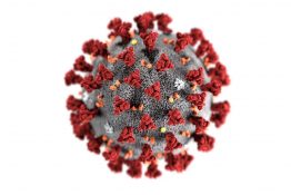 «Рабкор» продолжает информировать читателей о пандемии коронавируса.