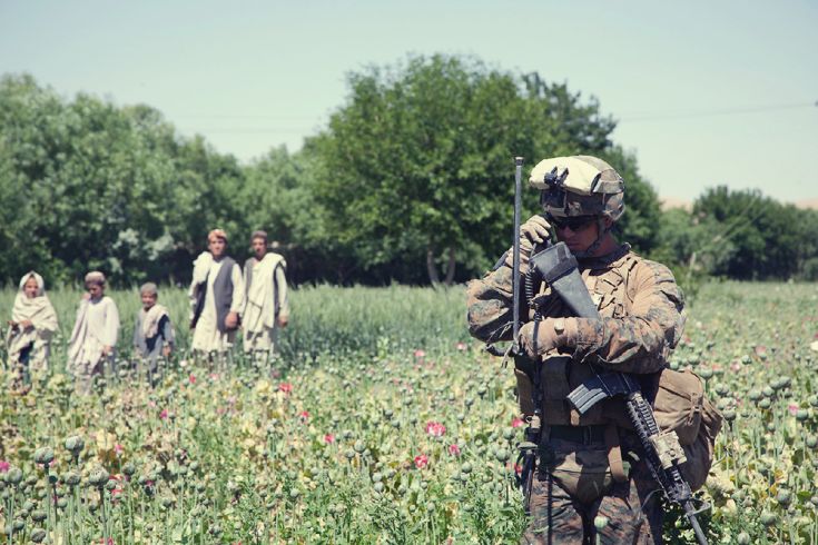 Сержант Корпуса морской пехоты США на маковом поле в Афганистане © poistine.com
