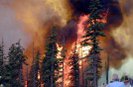 Лесные пожары уничтожают деревни