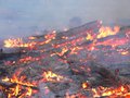 Казахстанские пожары перекинулись на Алтай