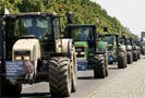 Протест европейских фермеров