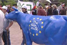 Европейские фермеры – против падения цен на молоко
