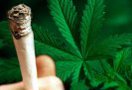 Сорос дал 1 млн долл на легализацию марихуаны