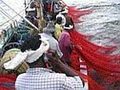 8 сентябрь 2008 года  более 20 тысяч рыбаков, работающих на владельцев рыболовецких судов на острове Памбан, начали забастовку, с требованиями установления справедливых цен на улов креветок.