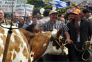 Акция протеста бельгийских фермеров
