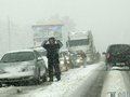Владивосток парализовало из-за снега