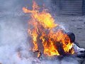 Акты самосожжения в Египте и Алжире