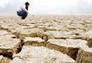 Засуха в Волгограде убила 100% посевов
