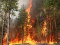 Продолжается борьба с лесными пожарами в Сибири