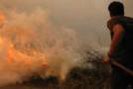 Крупный лесной пожар в Израиле