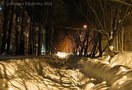 Димитровград сидит без электричества